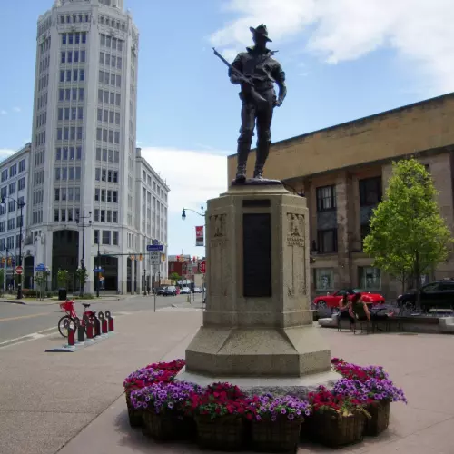 Buffalo Photo