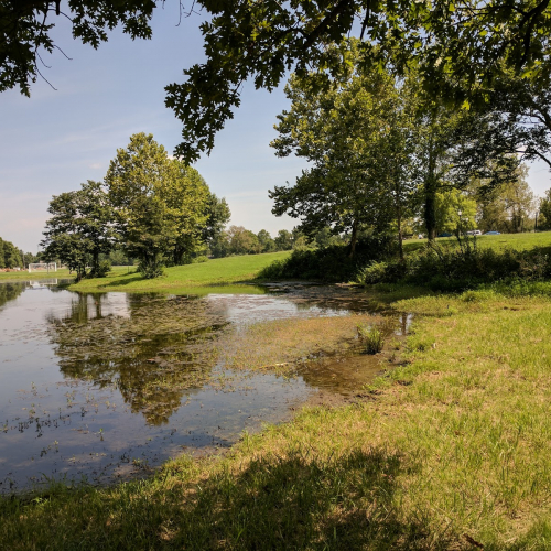Carterville Photo