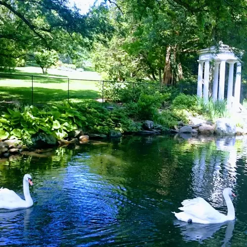 Chestnut Hill Photo