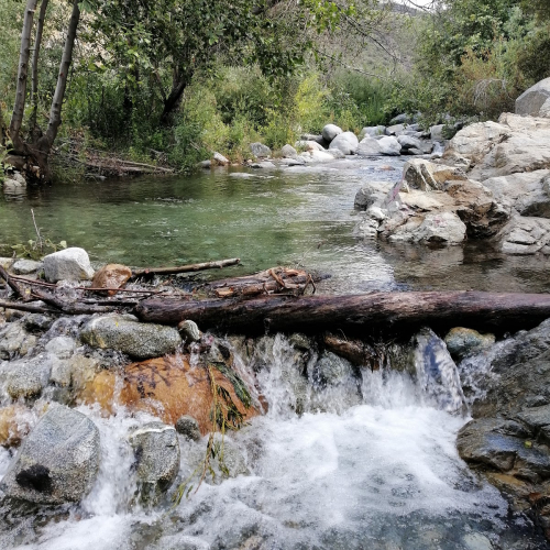Claremont Photo