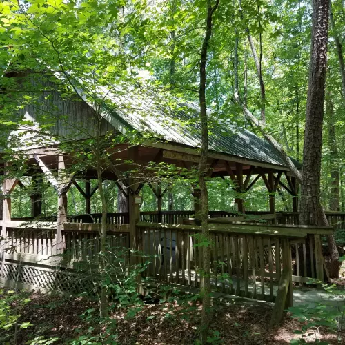 Clayton Photo