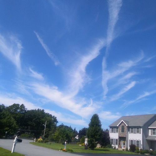 Clifton Park Photo