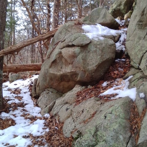 Cohasset Photo