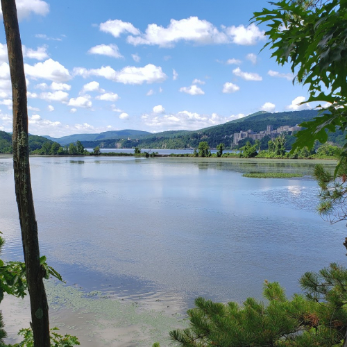 Cold Spring Photo
