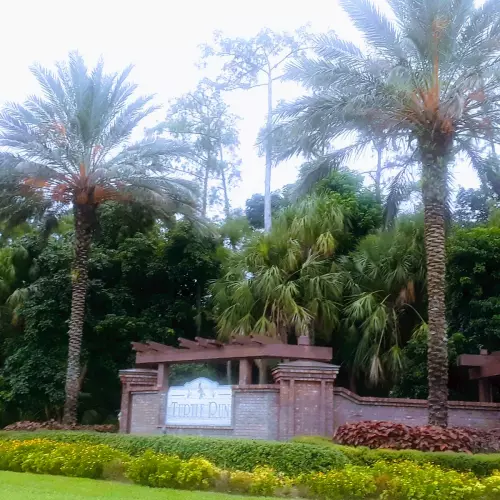 Coral Springs Photo