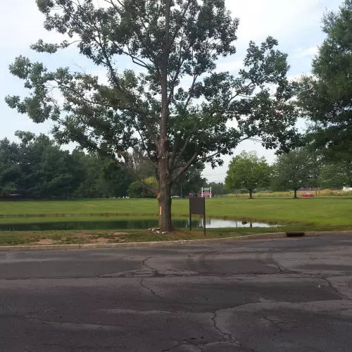 Cranbury Photo