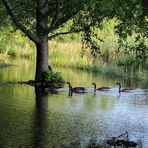 Crystal Lake Photo