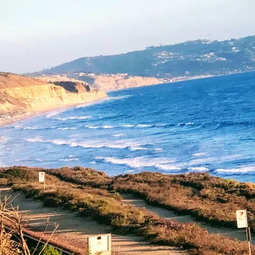 Del Mar Photo