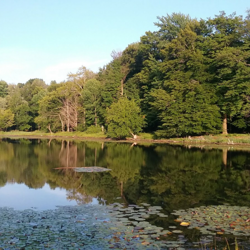 Depew, NY Photo
