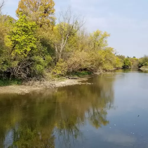Des Plaines Photo