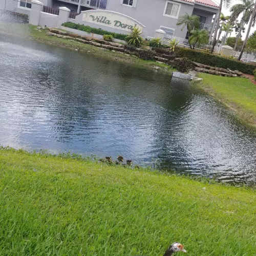 Doral Photo
