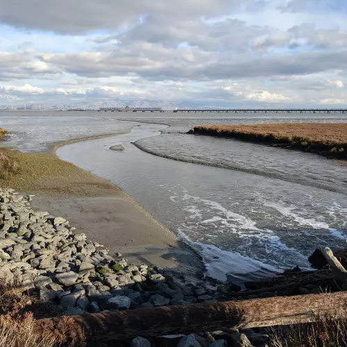 East Palo Alto Photo