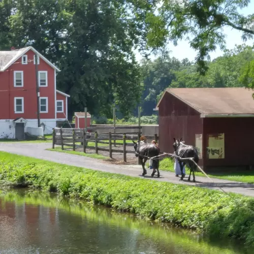 Easton Photo