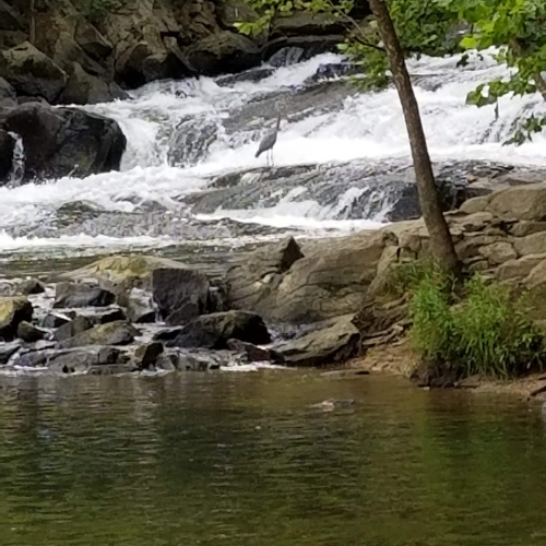 Eldersburg Photo