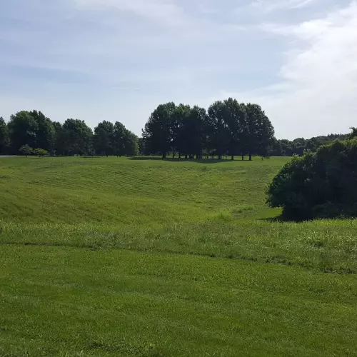 Fairview Heights Photo