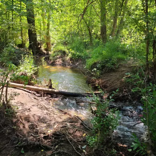 Farmington Hills Photo
