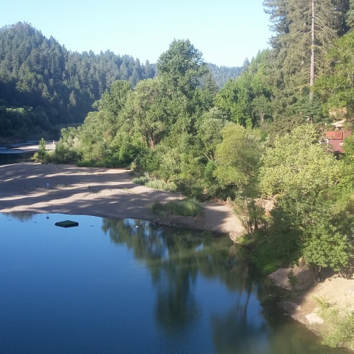 Forestville Photo