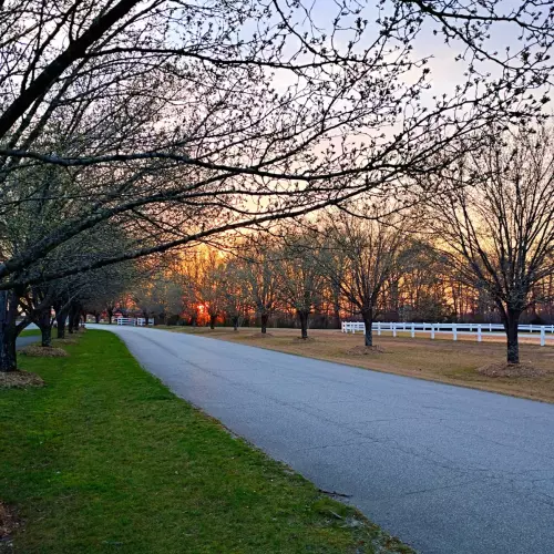 Fort Mill Photo