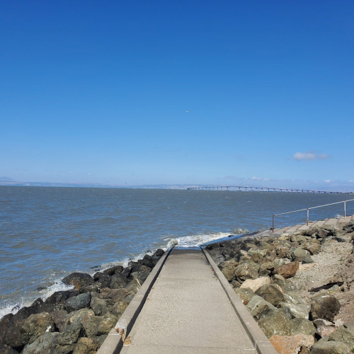 Foster city Photo