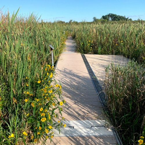 Fox Lake Photo