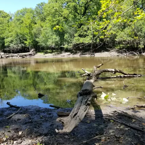 Franklin Park Photo