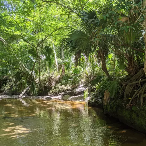 Gainesville Photo
