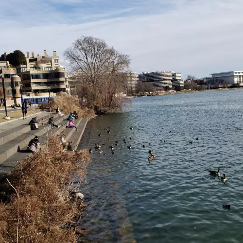 Georgetown Photo