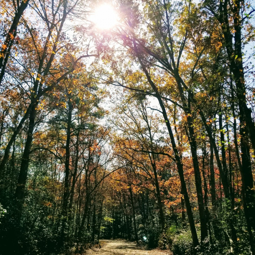 Glassboro Photo