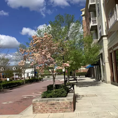 Glen Allen Photo