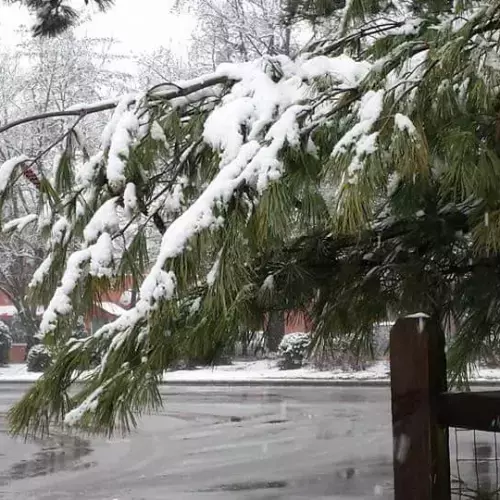 Glen Burnie Photo