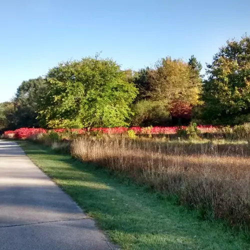 Goshen Photo