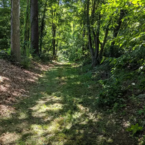 Grafton Photo