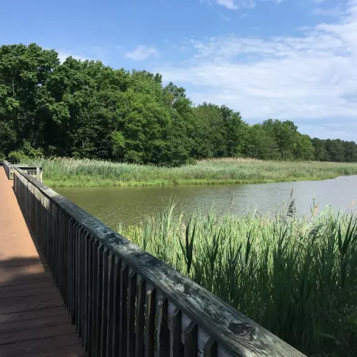 Grasonville Photo