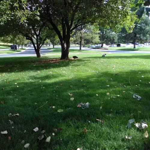 Greenwood Village Photo