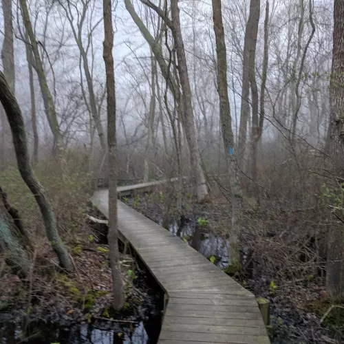 Hauppuage Photo