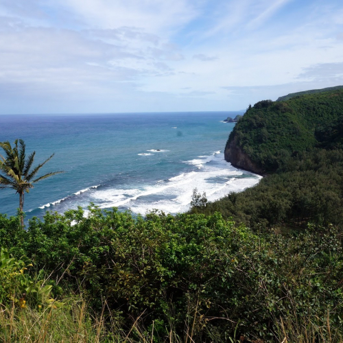 Hawi Photo