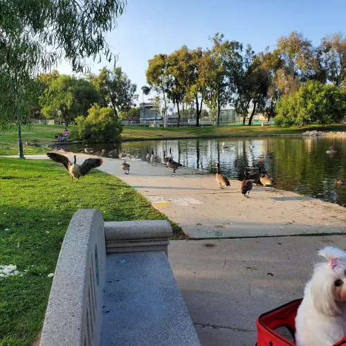 Hawthorne Photo