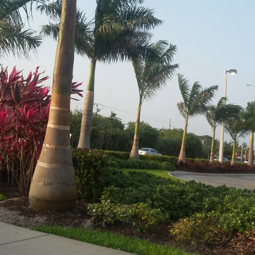 Hialeah Gardens Photo
