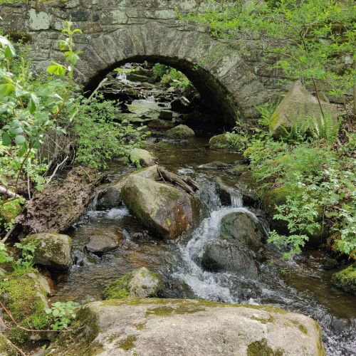 High Bridge Photo