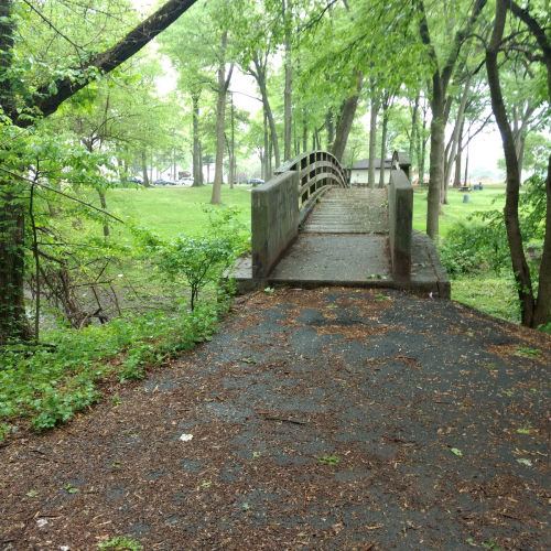 Hillside Photo
