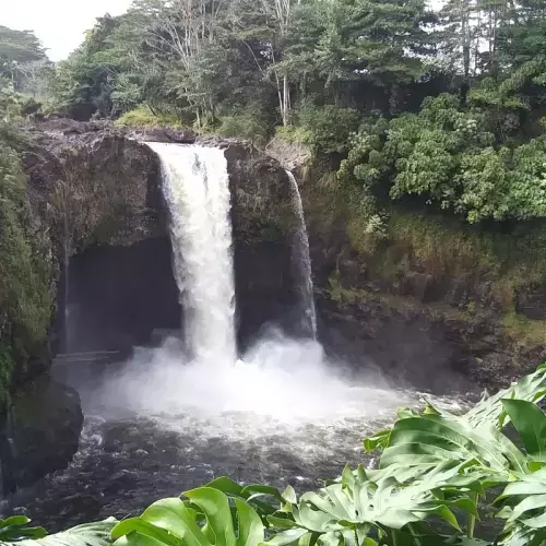 Hilo Photo