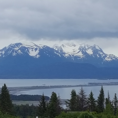 Homer Photo