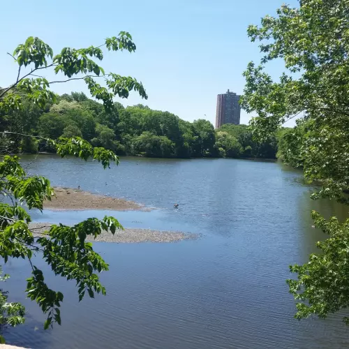 Jamaica Plain Photo