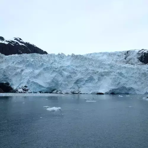 Kenai Photo