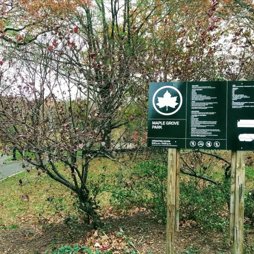Kew Gardens Photo