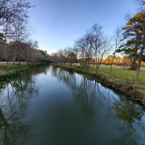 Kingwood Photo