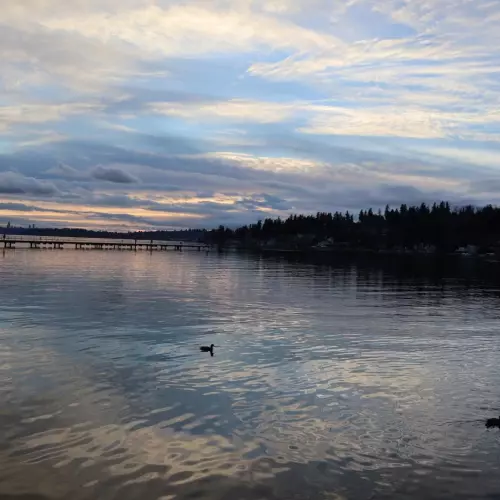 Kirkland Photo