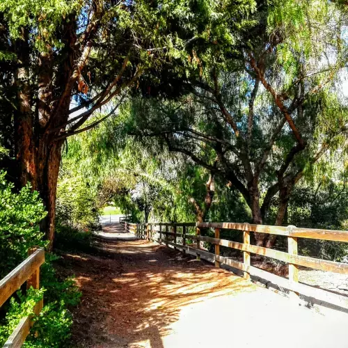 Laguna Hills Photo