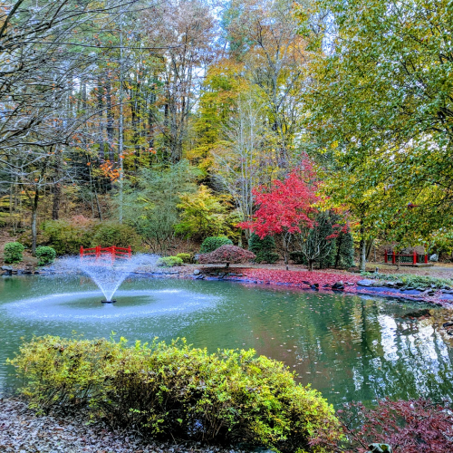 Lenoir Photo