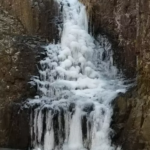 Livingston Photo